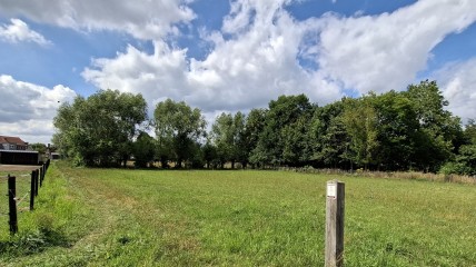 Programma van onze wandelgroep '26-'27: bij de schrijvers